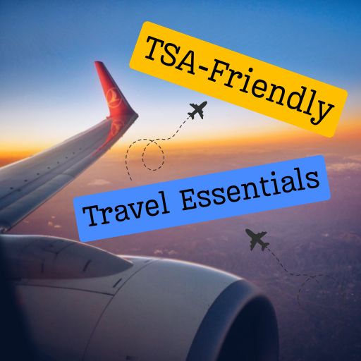 plane at sunset "TSA-friendly travel essentials"