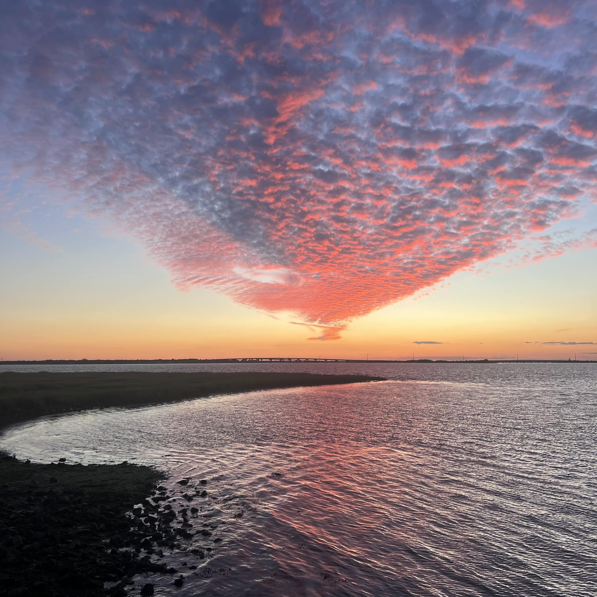 Looking at the beautiful sky tonight and praying for all of my Florida friends. Go out to sea, Milton!