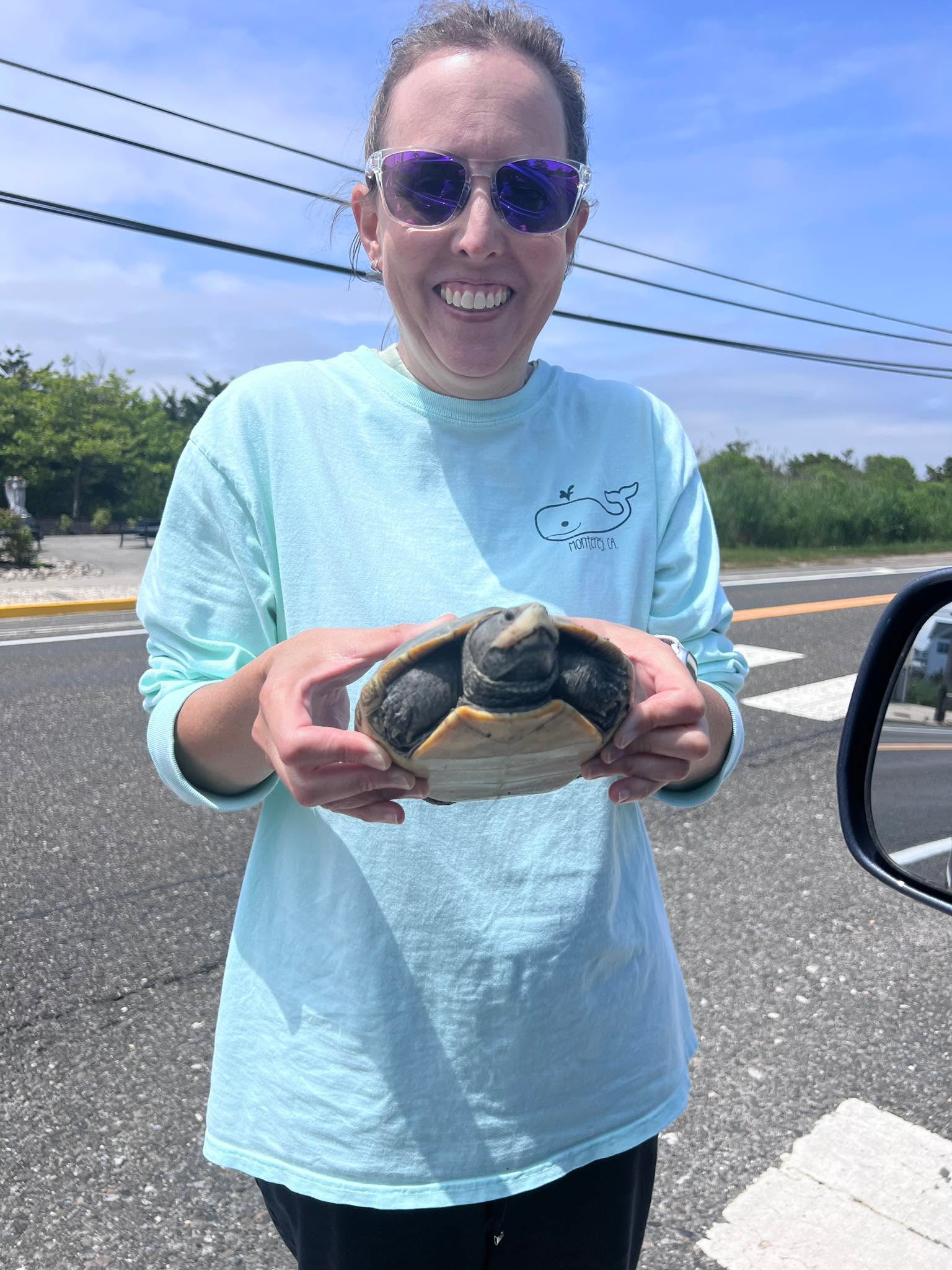 It’s turtle season! My sister and I saw 20 diamondback terrapins crossing the street as we drove down the coast today! The rule is help them cross the street if they’re in traffic and move them safely to the other side of the road in the direction they are heading. My sister saved 6 turtles! The other 14 were safely crossing, and 2 were even in a crosswalk 😂 I have never seen so many turtles in one day! It was so much fun!